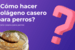 ¿Cómo hacer colágeno para perros casero?