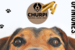 Opiniones verificadas de CHURPI – www.churpi.dog –