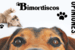 Opiniones verificadas de www.bimordiscos.com [Bimordiscos]
