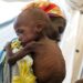 South Sudan crisis: More than 60 percent of population suffering from severe hunger