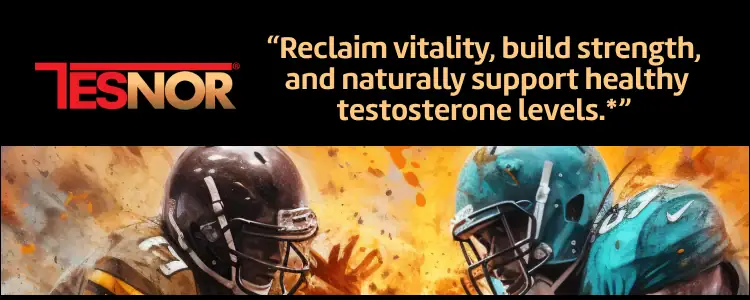 TESNOR Banner Top Mobile AA Fixed