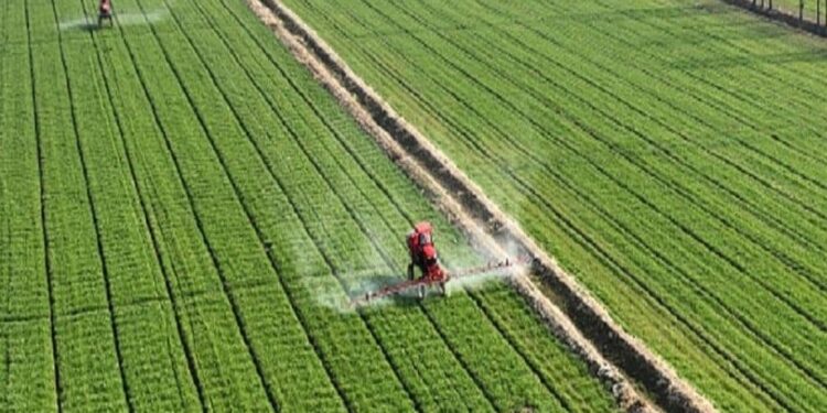Farmers drive sprinkler irrigation machines in a wheat field in East China’s Jiangsu province. Costfoto/Future Publishing via Getty Images