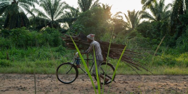FILE - A man carries wood on his bicycle as he rides past a cemetery in Beni, Congo, Tuesday, July 16, 2019. (AP Photo/Jerome Delay, file)