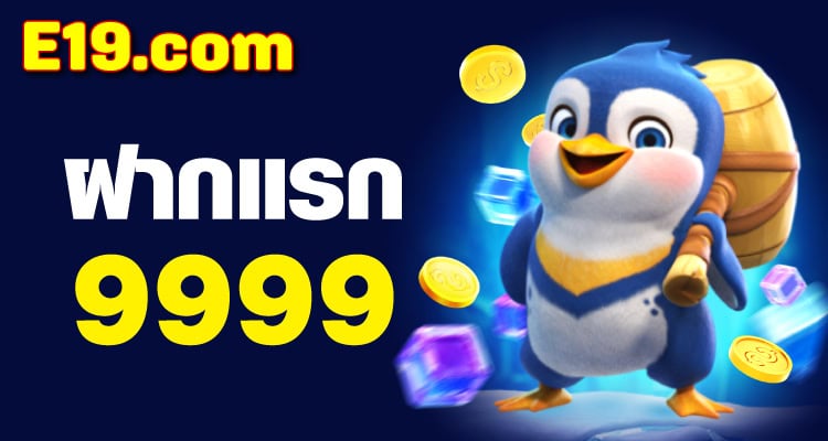 e19 com ทางเข้า