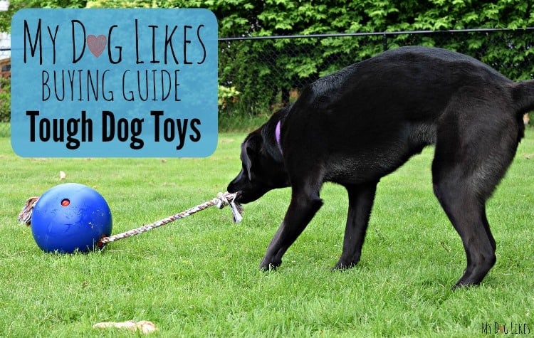 Tough Dog Toys Buying Guide