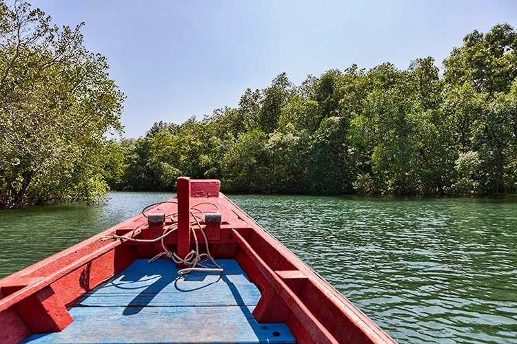 From the Golden Meadow (Tung Prong Thong) we took a boat out of the mangrove forest