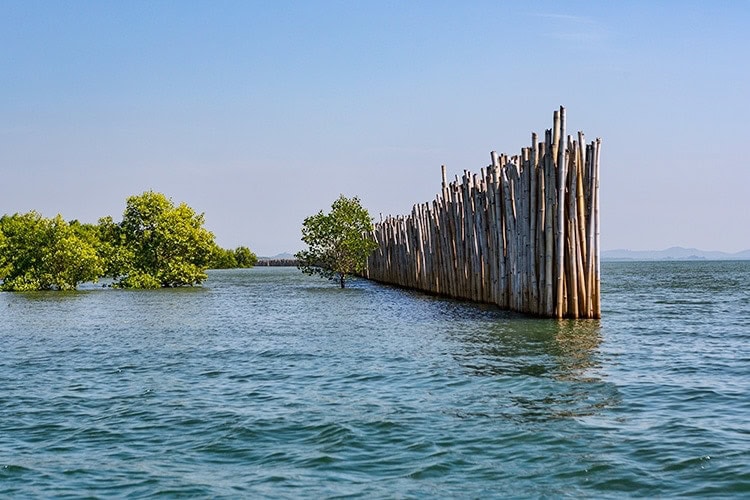 To protect the marsh from the open sea they build a wall