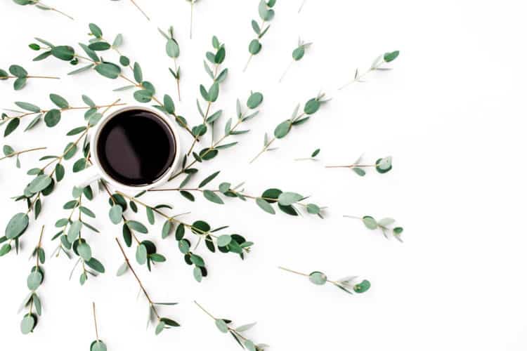 the health benefits of coffee