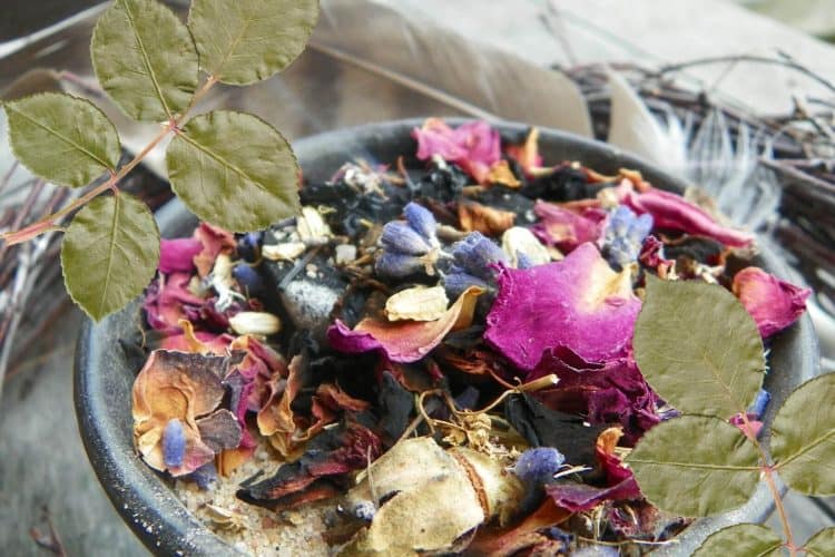 Everyday Herbalism for Your Intelligent Heart