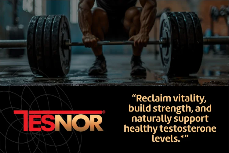 TESNOR Banner Top Mobile A