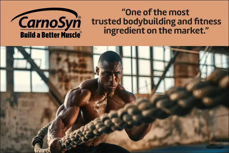 CarnoSyn Banner