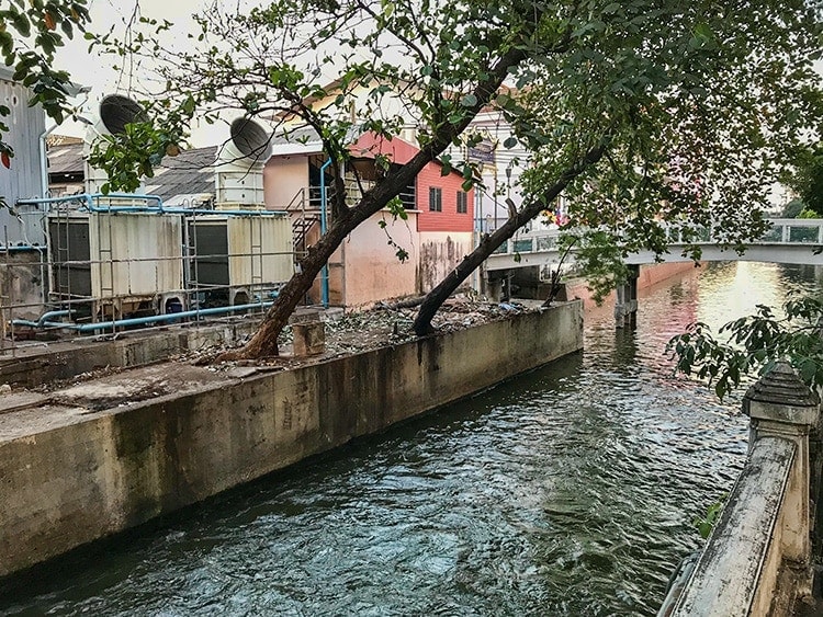 They killed the old wood house as well. And instead of cleaning the place up they left all the rubbish there...