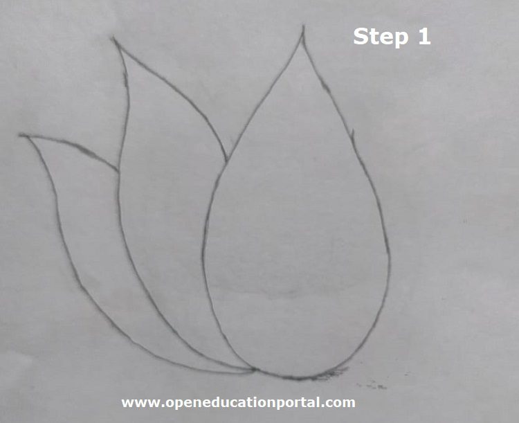 how-to-draw-lotus-flower-1