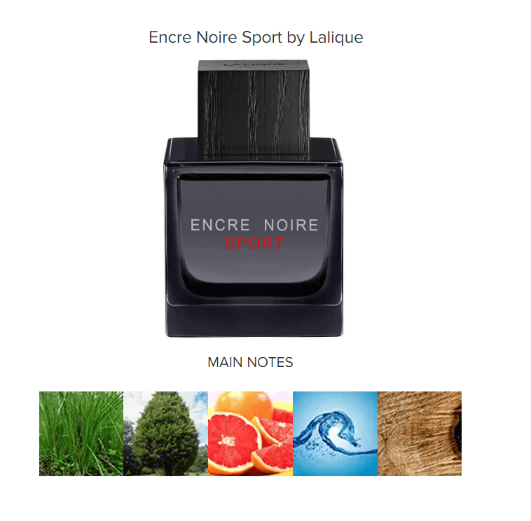 The Best Workout Colognes for Men Scentbird Blog
