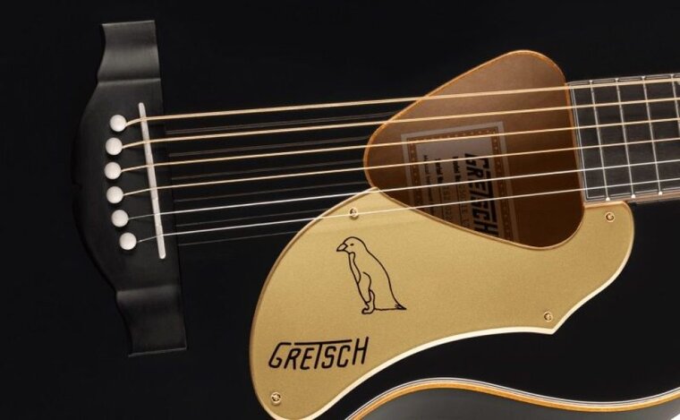 Présentation en détail de la rosace, du Pickguard et du chevalet de la G5021E