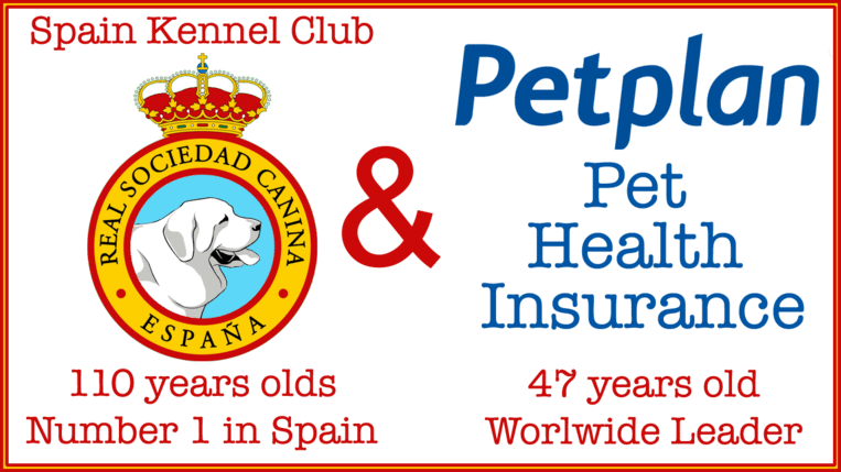 Spain Royal Kennel Club has designated Petplan.es as the exclusive