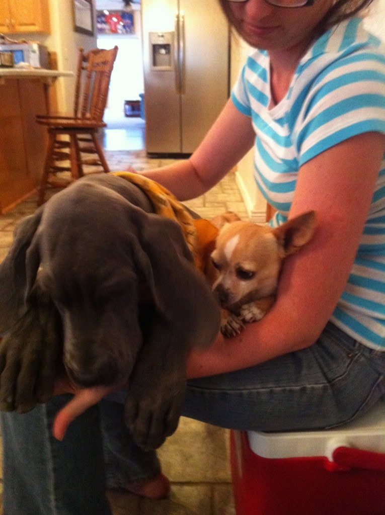 Tobi likes him, he always has the option to leave but he chooses to come hang out with him