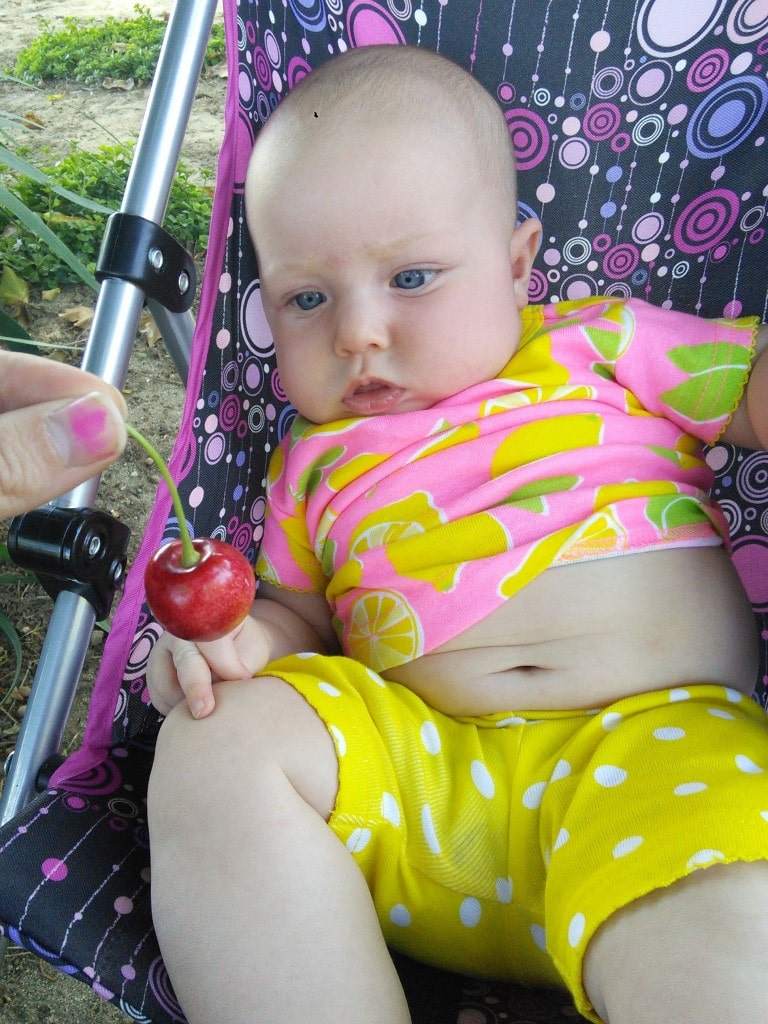 And we had a cherry picking adventure!