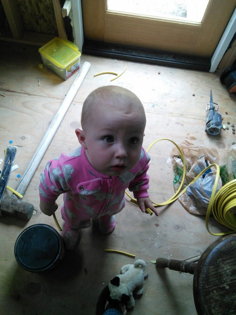 We work on wiring through the day, Hazel likes the scraps :)