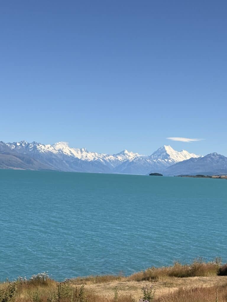 new zealand cft.ca futures trading discount reviews 