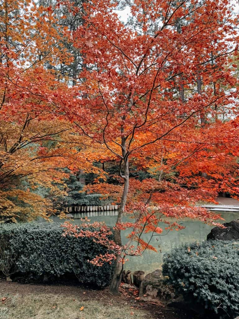 fall colors in spokane