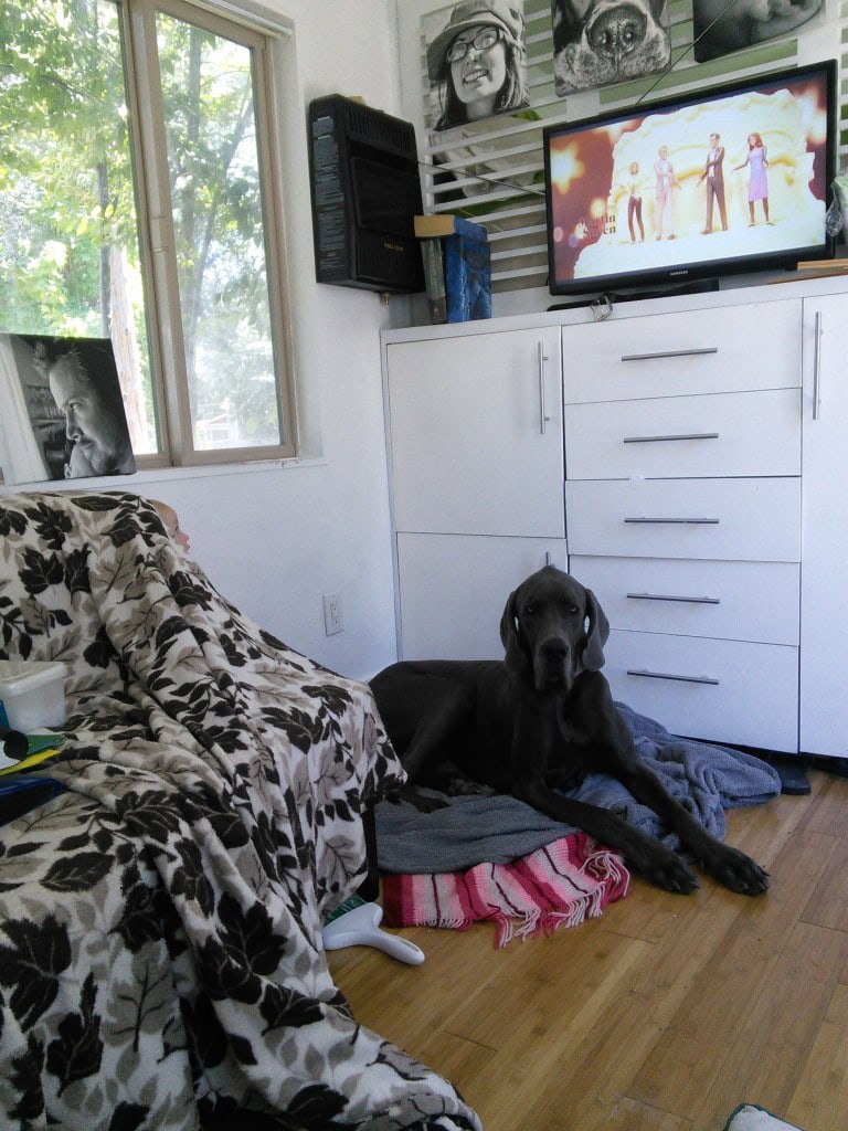 Denver, being his ever helpful self