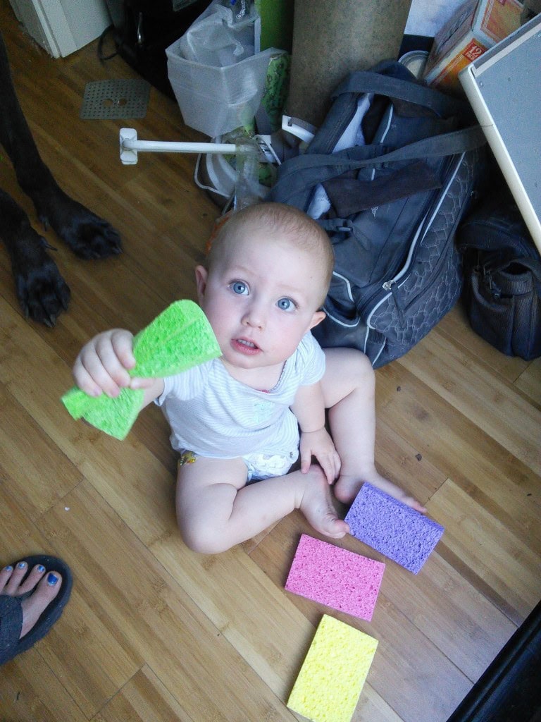 Hazel was very content with the pack of sponges, entertained her ALL night! 