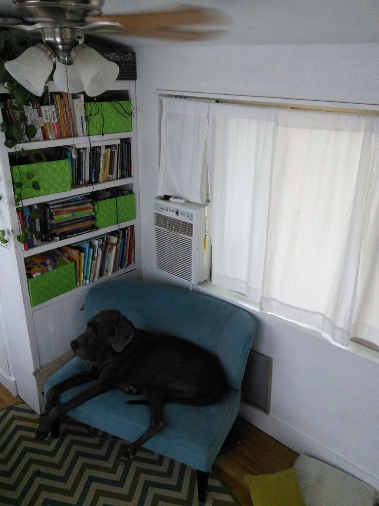 denver denver denver... you'd never know he's not allowed on the couch! :)