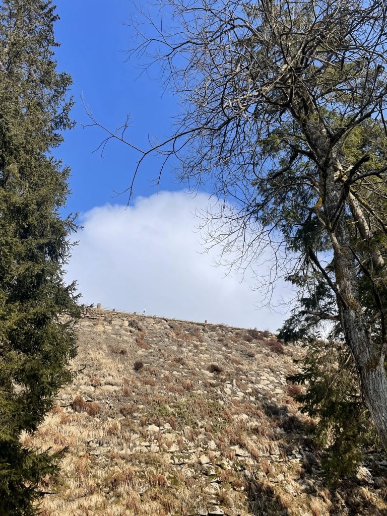 Staumauer des Oderteich