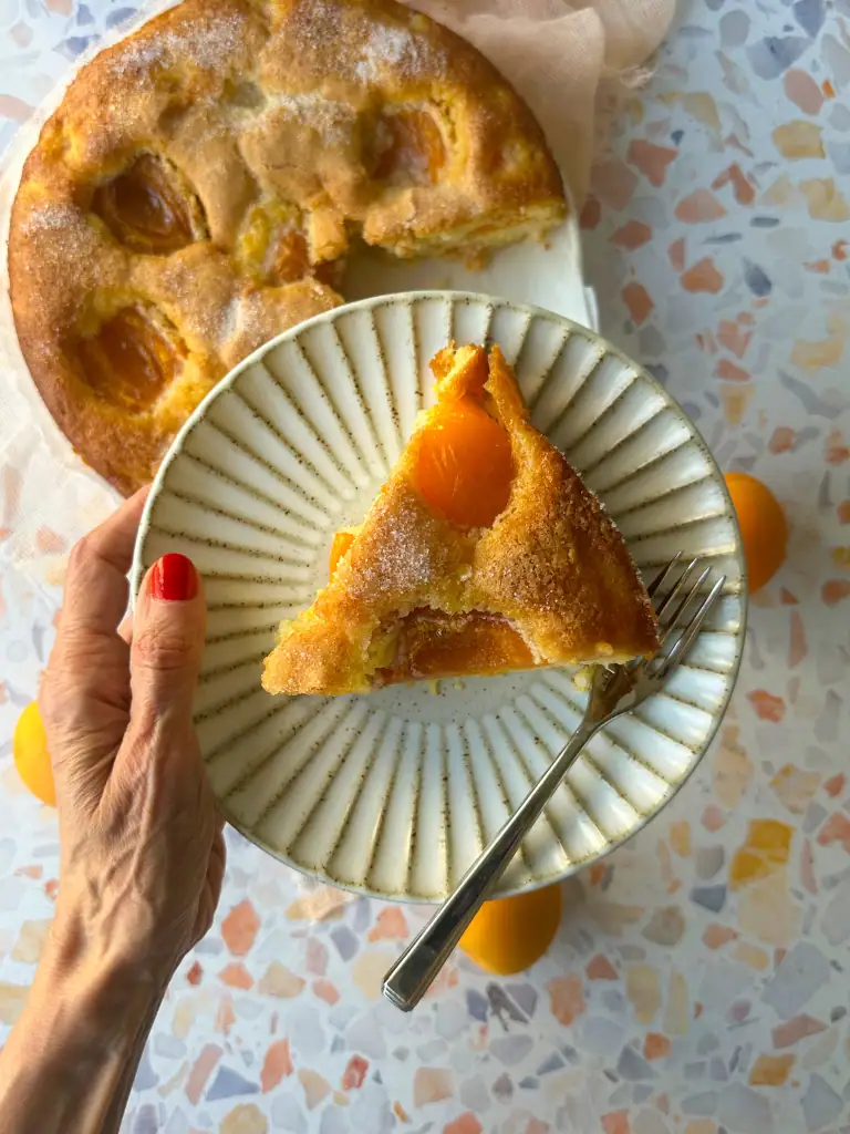 Hand holding a plate with a slice of apricot cake