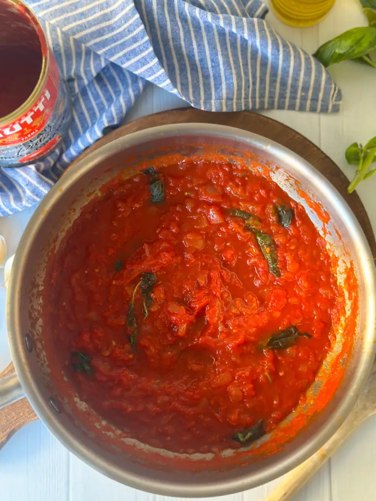 Finished sugo al pomodoro, tomato sauce in a pot