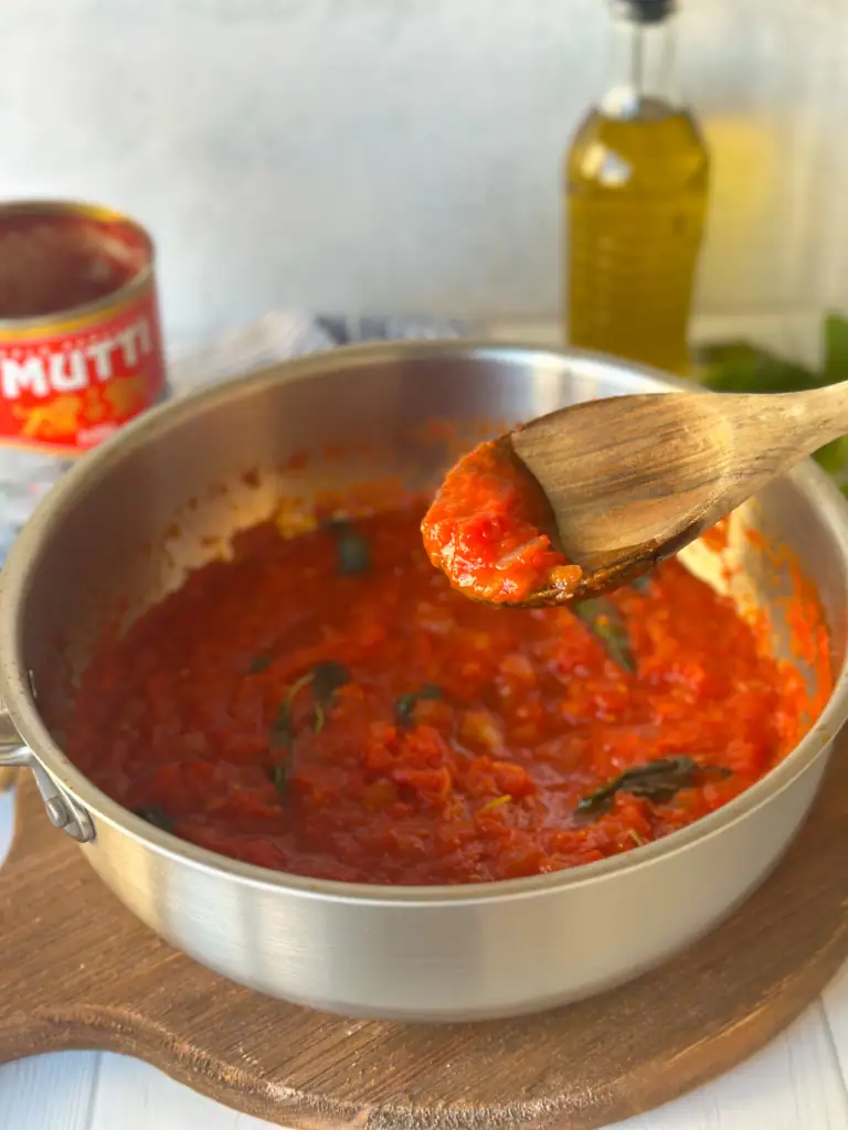 Tomato sauce sugo on a wooden spoon
