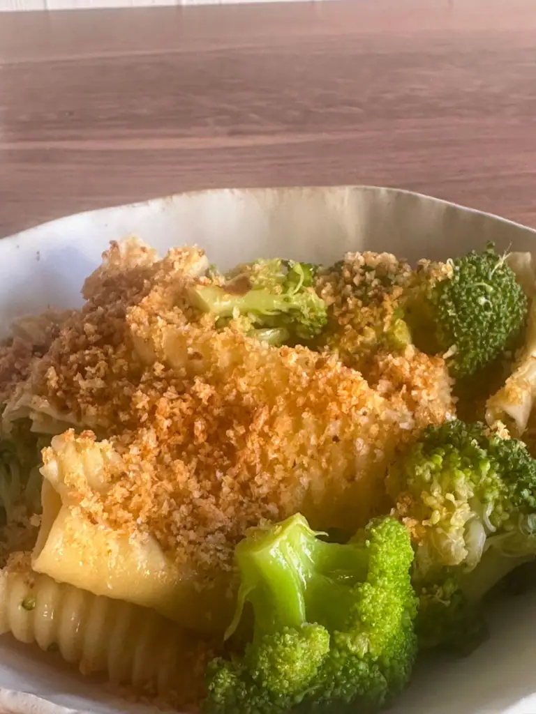 Close up of Rigatoni with broccoli