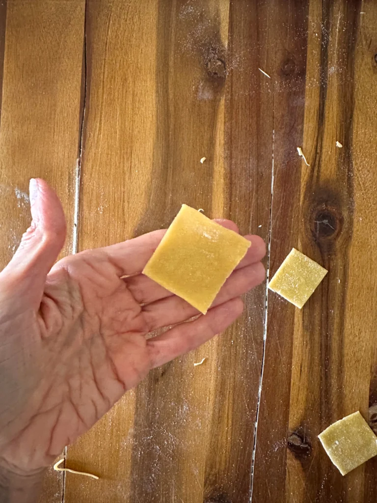 Square of pasta dough