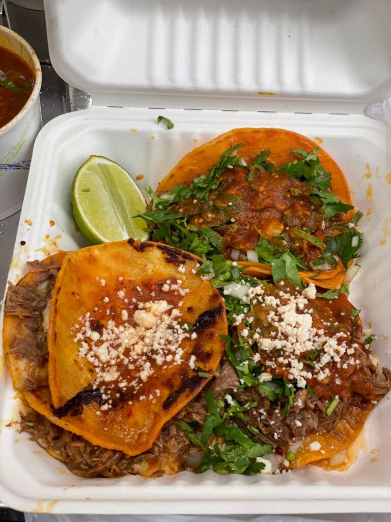 Tacos from Birria-Landia food truck in Queens, New York