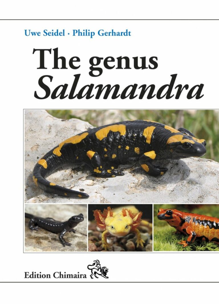 the genus salamandra
