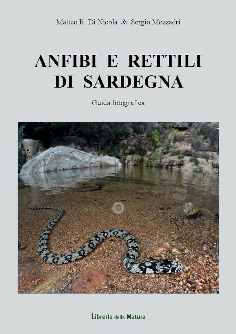 anfibi e rettili di sardegna