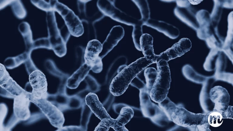 Image en microscopie électronique représentant des chromosomes humains, vue rapprochée illustrant un caryotype. Cette image permet de visualiser la structure des chromosomes dans un caryotype humain et de mieux comprendre le rôle du caryotype sanguin dans l’analyse génétique. Idéal pour illustrer la définition du caryotype dans un contexte pédagogique.