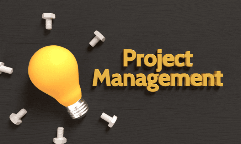 Project Manager