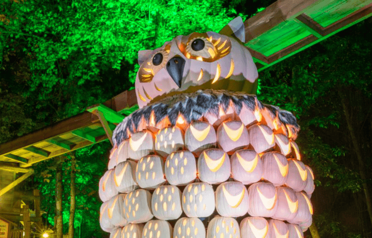 Fall-Events-in-Pigeon-Forge