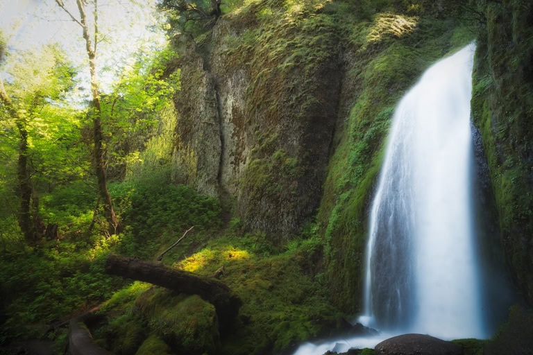 Rootedness: Reclaiming A Good Earth – Josephine Robertson