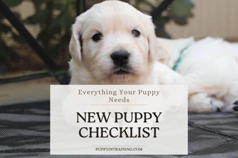 New Puppy Checklist – I’m Getting A New Puppy, What Do I Need?