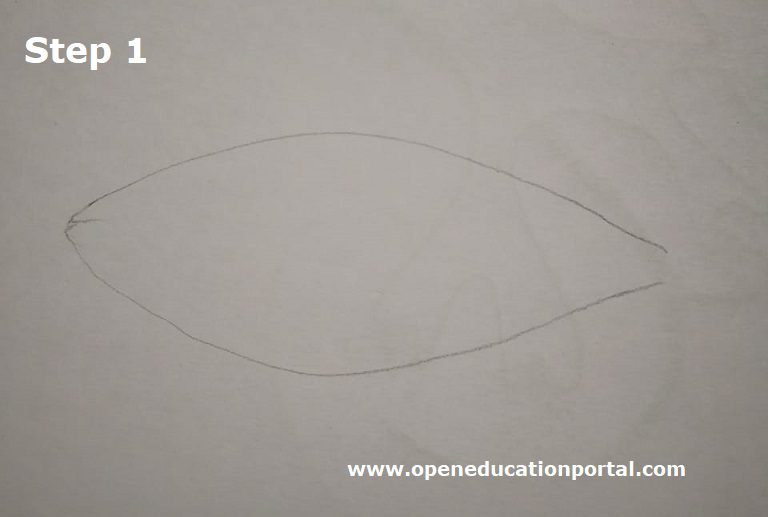how-to-draw-a-fish-step1
