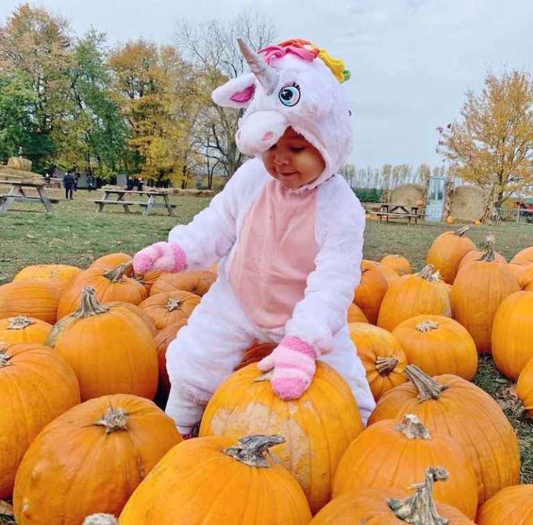 Andrew's Scenic Acres