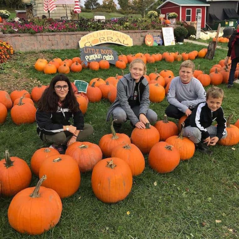 Forsythe Family Farm