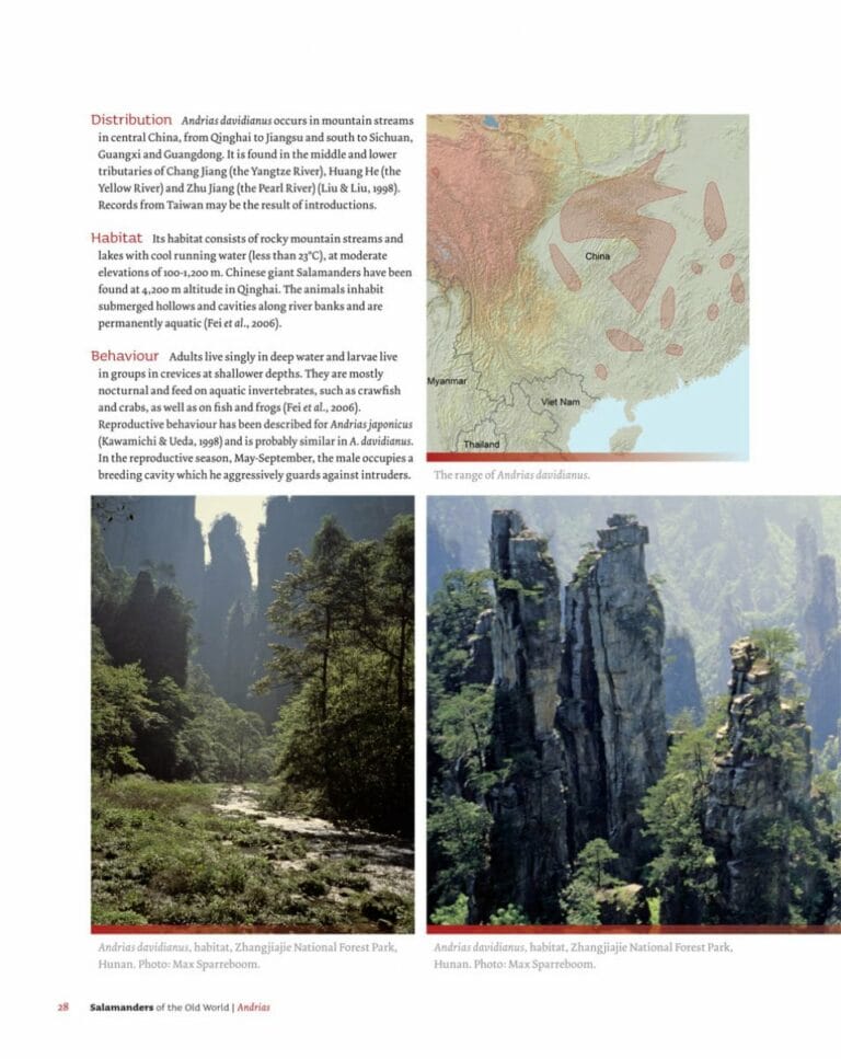salamanders of the old world page