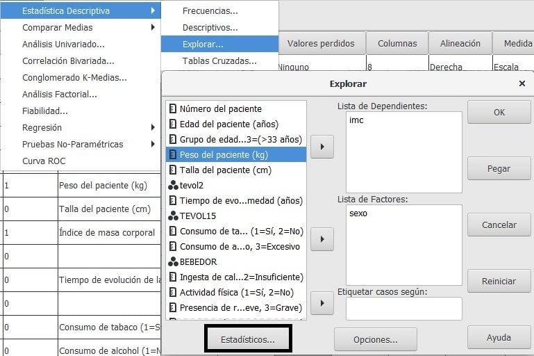 Descrptivos Explorar en PSPP
