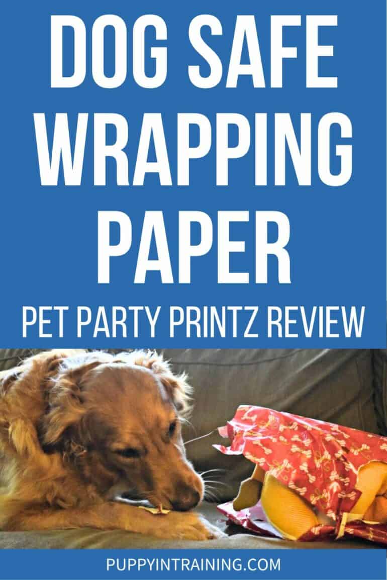 Dog Safe Wrapping Paper - Pet Party Printz Review - Golden unwrapping present