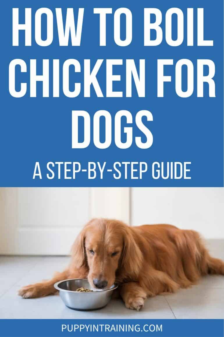 How To Boil Chicken For Dogs - A Step By Step Guide