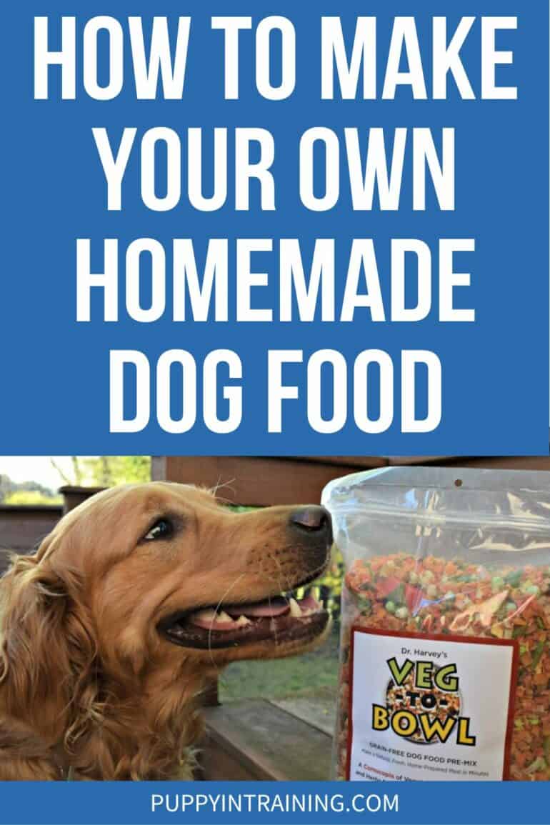 How To Make Your Own Homemade Dog Food - Golden Retriever looking at Dr. Harvey's Veg-to-Bowl base.